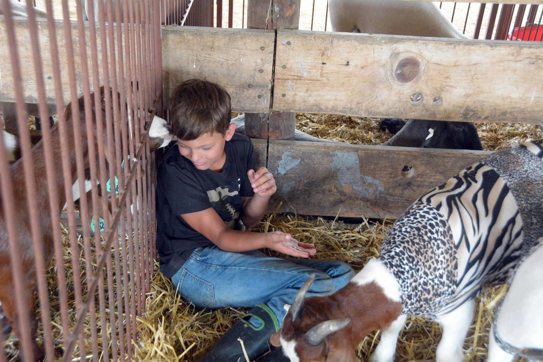 Thursday at the 2021 Sauk County Fair